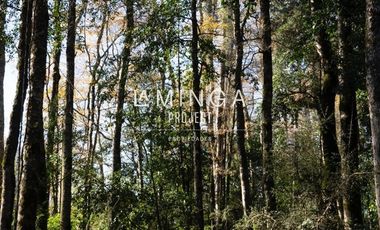 Sitio en Venta en Panguipulli