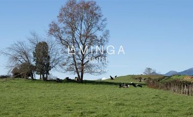 Sitio en Venta en Panguipulli