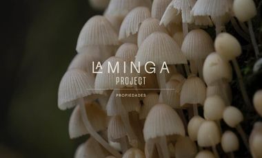 Sitio en Venta en Panguipulli