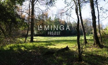 Sitio en Venta en Panguipulli