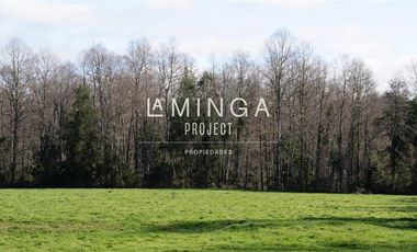 Sitio en Venta en Panguipulli