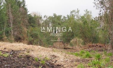 Sitio en Venta en Chauquen