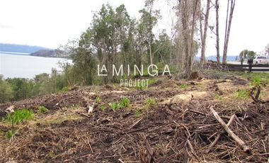 Sitio en Venta en Chauquen