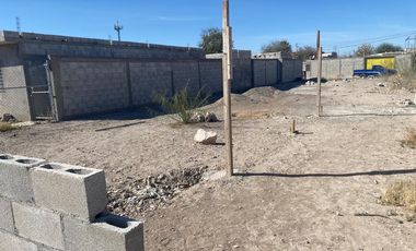 TERRENO EN RENTA SOBRE AV. UNIVERSIDAD EN TORREÓN, COAH. CERCA DEL TEC. MILENIO
