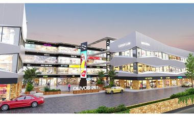 Inversionistas El barro Locales en pre Venta en Plaza LSL