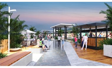 Inversionistas El barro Locales en pre Venta en Plaza LSL