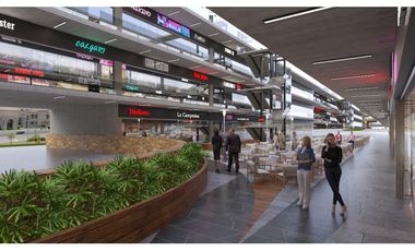 Inversionistas El barro Locales en pre Venta en Plaza LSL