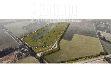 Sitio en Venta en Liary - Lo Pinto