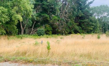 Linda parcela en La Reserva Frutillar