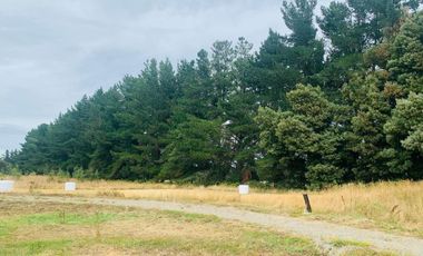 Linda parcela en La Reserva Frutillar