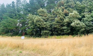 Linda parcela en La Reserva Frutillar