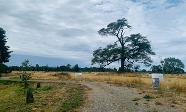 Linda parcela en La Reserva Frutillar