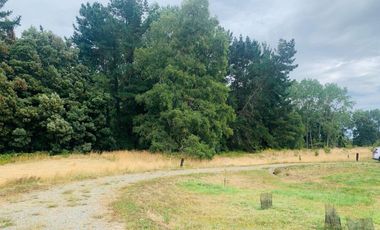 Linda parcela en La Reserva Frutillar