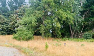 Linda parcela en La Reserva Frutillar