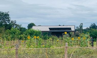Linda parcela en La Reserva Frutillar