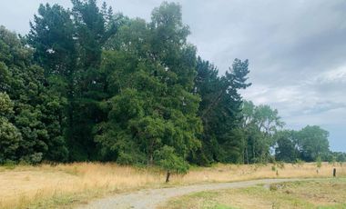 Linda parcela en La Reserva Frutillar