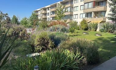 Impresionante!! Oficina con Patio, Estac. y Bodega