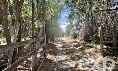 Parcela en Venta en Villa Alegre campo lindo, parcela 8