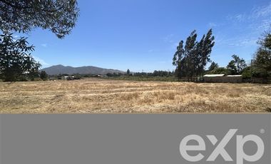 Parcela en Venta en Villa Alegre campo lindo, parcela 8