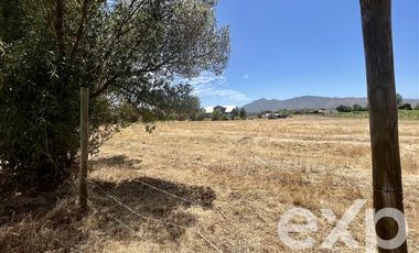 Parcela en Venta en Villa Alegre campo lindo, parcela 8