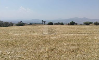 VENTA Y/O RENTA DE TERRENO PARA USO INDUSTRIAL O COMERCIAL A PIE DE CARRETERA