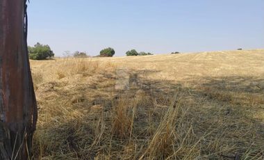 VENTA Y/O RENTA DE TERRENO PARA USO INDUSTRIAL O COMERCIAL A PIE DE CARRETERA