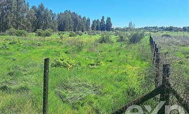 Agrícola en Venta en Camino a Trinidad lote A1 S