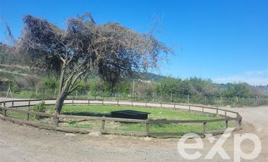 Sitio en Venta en Camino a Zapallar Kilómetro 5,5