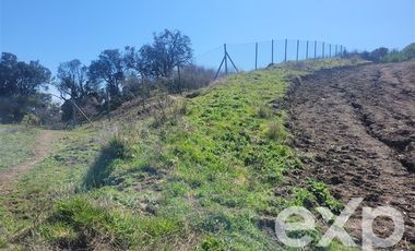 Sitio en Venta en Camino a Zapallar Kilómetro 5,5