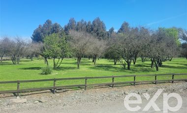 Sitio en Venta en Camino a Zapallar Kilómetro 5,5