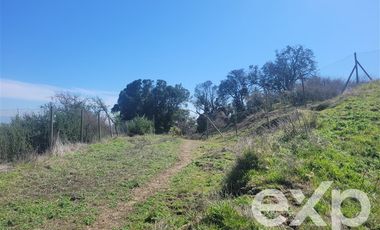 Sitio en Venta en Camino a Zapallar Kilómetro 5,5