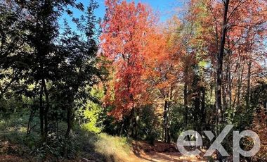 Sitio en Venta en El Radal Siete Tazas
