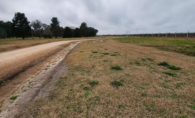 Terreno en Venta - 750mts2 - Guernica