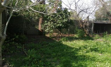 Casa en venta - 3 dormitorios  2 baños - 800mts2 - Lisandro Olmos Etcheverry