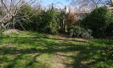 Casa en venta - 3 dormitorios  2 baños - 800mts2 - Lisandro Olmos Etcheverry