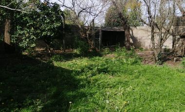 Casa en venta - 3 dormitorios  2 baños - 800mts2 - Lisandro Olmos Etcheverry