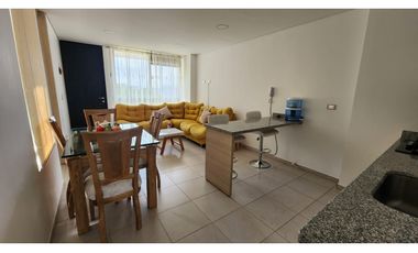 VENDO APARTAMENTO EN LA VEGA