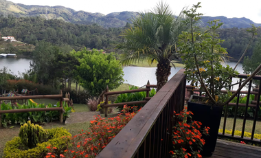 8548094 Venta Finca en Guatapé Antioquia