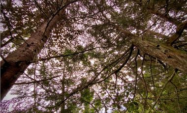 Venta Lote Plano Parcelar Vista 360 2 Aguas Facil Acceso La Ceja