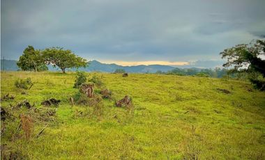 Venta Lote Plano Parcelar Vista 360 2 Aguas Facil Acceso La Ceja