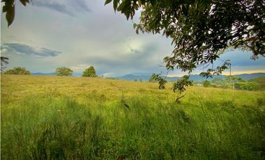 Venta Lote Plano Parcelar Vista 360 2 Aguas Facil Acceso La Ceja