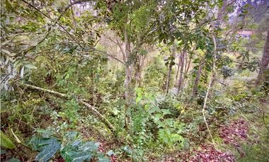 Venta Lote Plano Parcelar Vista 360 2 Aguas Facil Acceso La Ceja