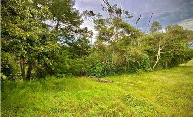 Venta Lote Plano Parcelar Vista 360 2 Aguas Facil Acceso La Ceja