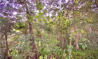 Venta Lote Plano Parcelar Vista 360 2 Aguas Facil Acceso La Ceja