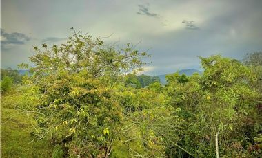 Venta Lote Plano Parcelar Vista 360 2 Aguas Facil Acceso La Ceja