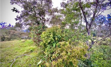 Venta Lote Plano Parcelar Vista 360 2 Aguas Facil Acceso La Ceja