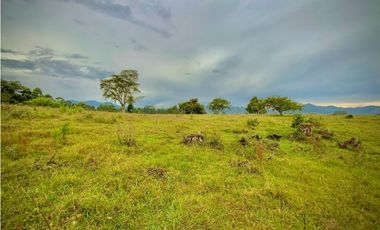 Venta Lote Plano Parcelar Vista 360 2 Aguas Facil Acceso La Ceja