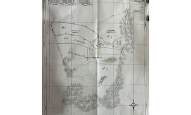 SE VENDE LOTE EN ARABIA AREA 29.000 M2 CON DOS CASAS