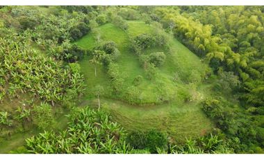 SE VENDE LOTE EN ARABIA AREA 29.000 M2 CON DOS CASAS