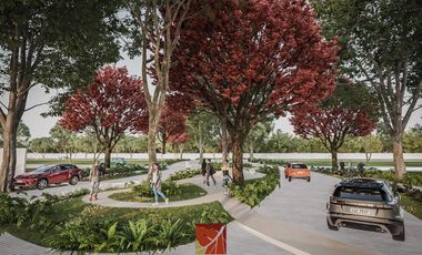 TERRENOS EN VENTA EN MÉRIDA, PARQUE NATURA II